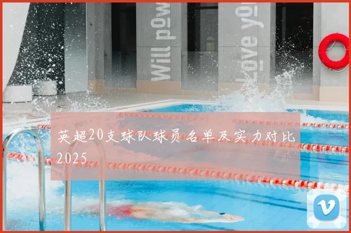 英超20支球队球员名单及实力对比2025