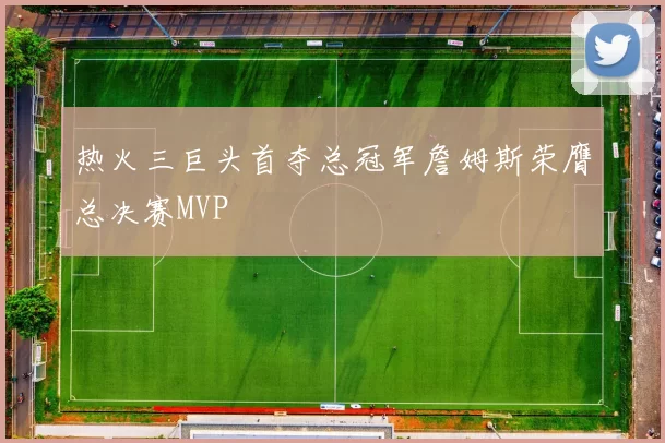 热火三巨头首夺总冠军詹姆斯荣膺总决赛MVP