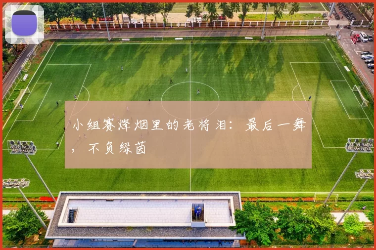 小组赛烽烟里的老将泪:最后一舞,不负绿茵