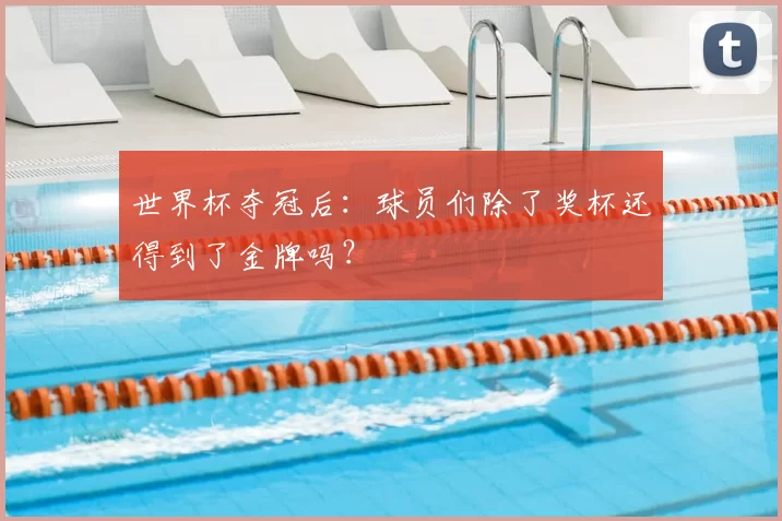 世界杯夺冠后：球员们除了奖杯还得到了金牌吗？