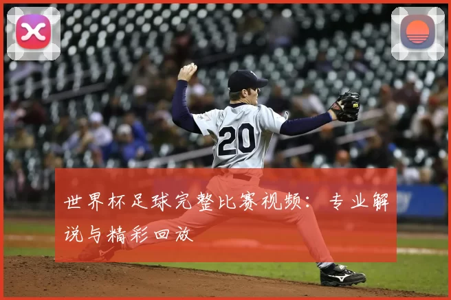 世界杯足球完整比赛视频：专业解说与精彩回放