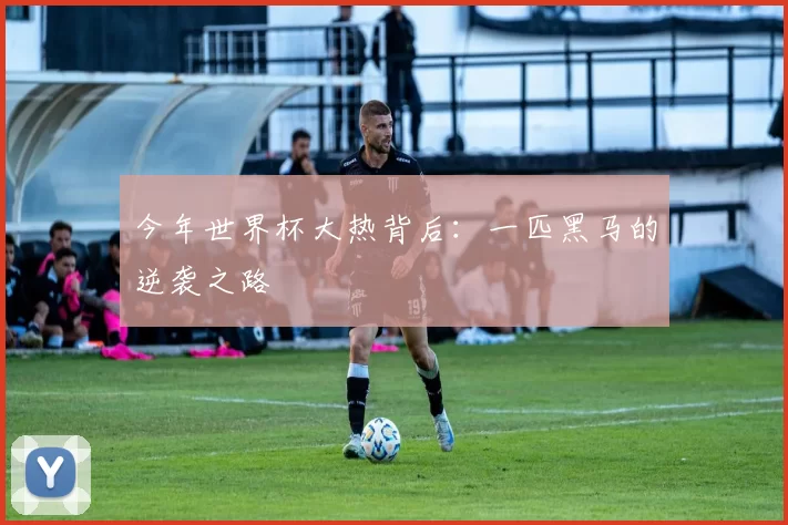 今年世界杯大热背后：一匹黑马的逆袭之路