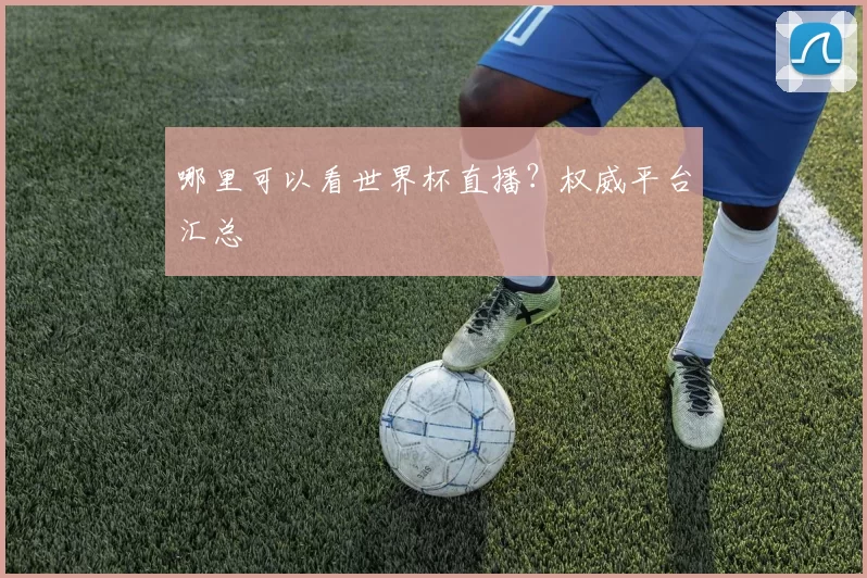 哪里可以看世界杯直播？权威平台汇总