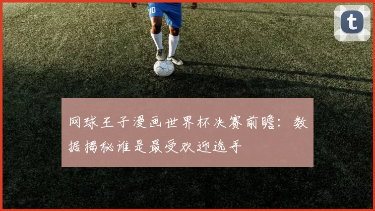 网球王子漫画世界杯决赛前瞻：数据揭秘谁是最受欢迎选手