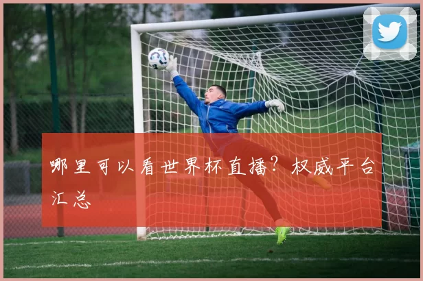 哪里可以看世界杯直播?权威平台汇总