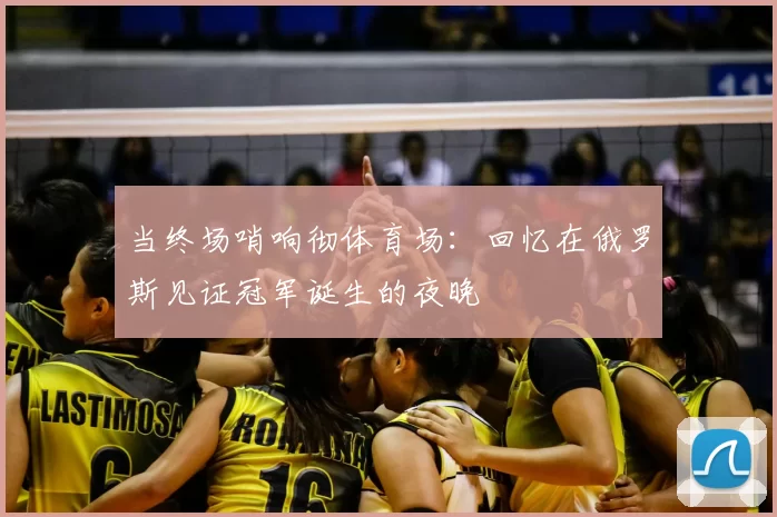 当终场哨响彻体育场:回忆在俄罗斯见证冠军诞生的夜晚