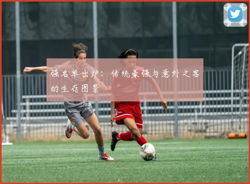 强名单出炉:传统豪强与意外之客的生存图景