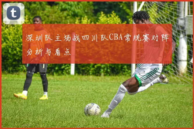 深圳队主场战四川队CBA常规赛对阵分析与看点