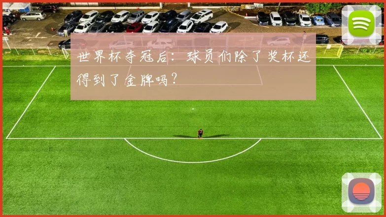 世界杯夺冠后：球员们除了奖杯还得到了金牌吗？