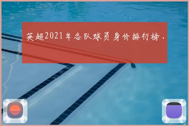 英超2021年各队球员身价排行榜 .