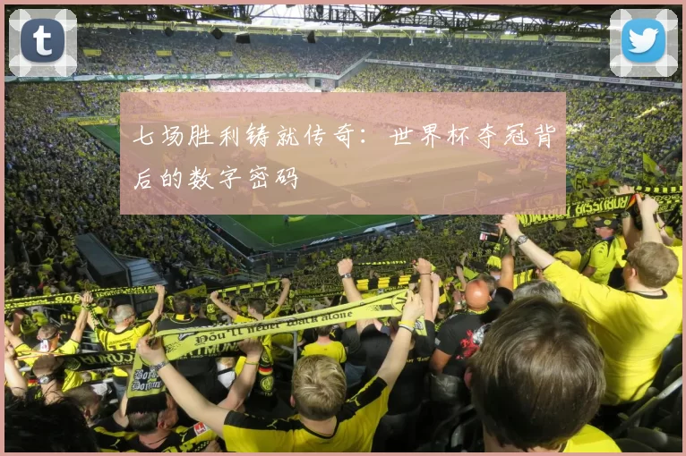 七场胜利铸就传奇：世界杯夺冠背后的数字密码