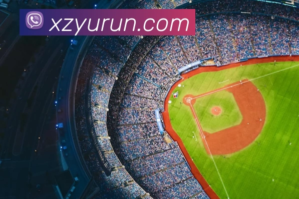 买球官网APP 高清赛事图